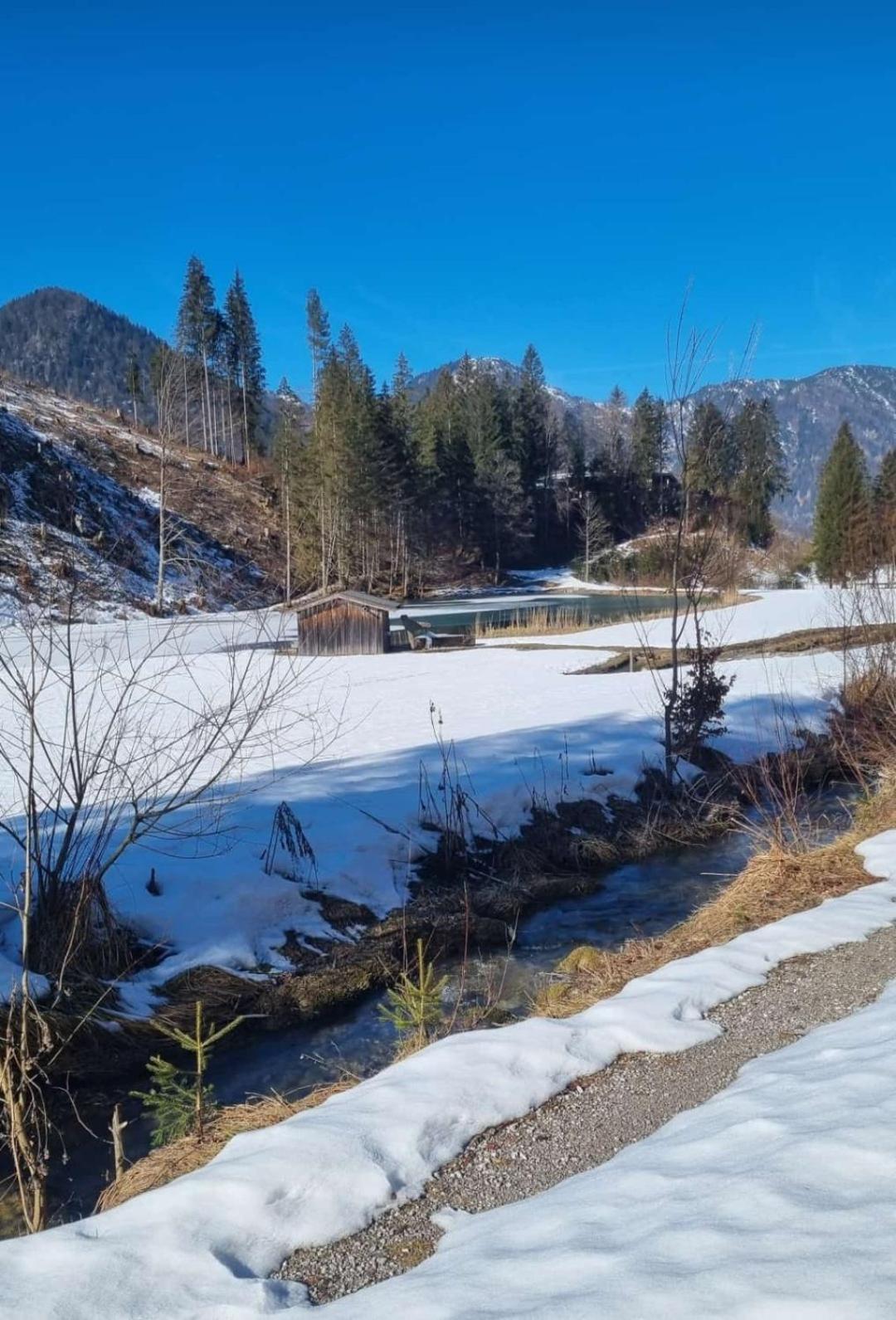 Bio Bauernhof Geisl Appartement Sankt Ulrich am Pillersee Buitenkant foto